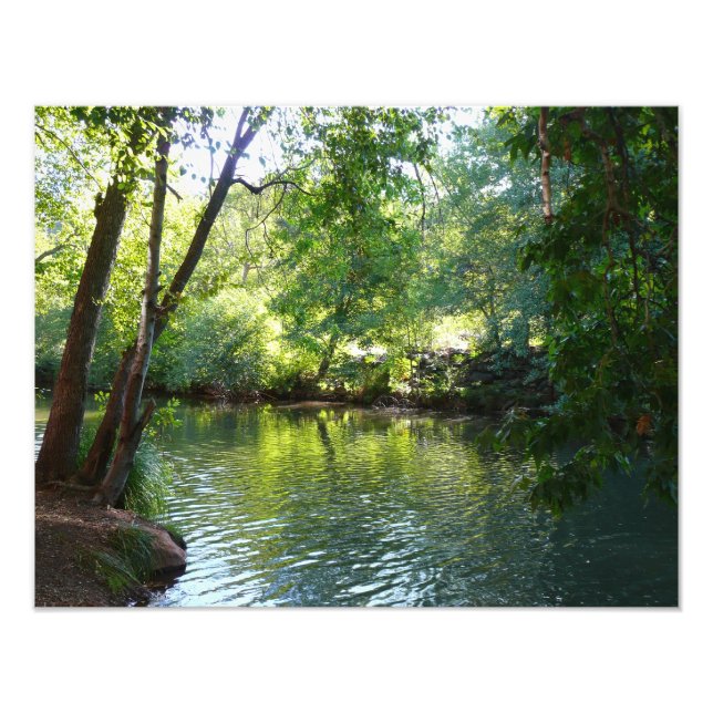 Oak Creek I in Sedona Arizona Nature Photography Photo Print (Front)