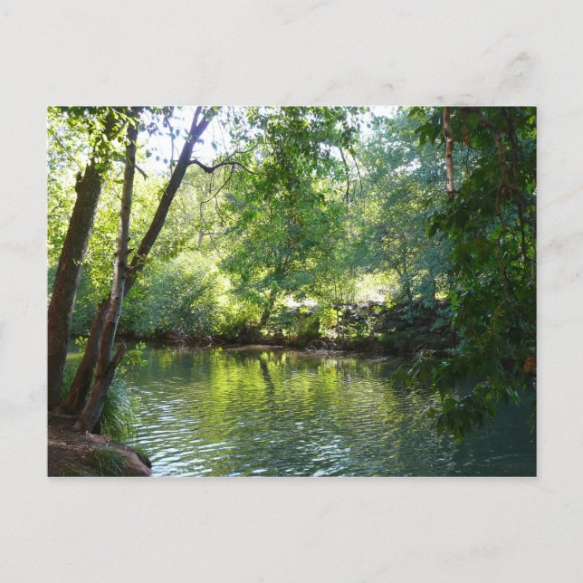 Oak Creek I in Sedona Arizona Nature Photography Postcard (Front)