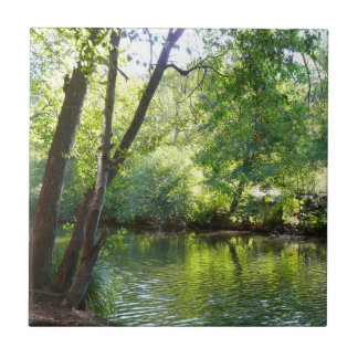 Oak Creek I in Sedona Arizona Nature Photography Tile