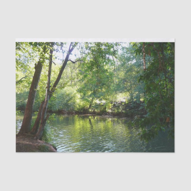 Oak Creek I in Sedona Arizona Nature Photography Tissue Paper (Front)