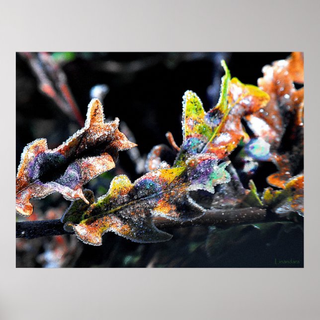 Oak Fairy Frosting Poster (Front)