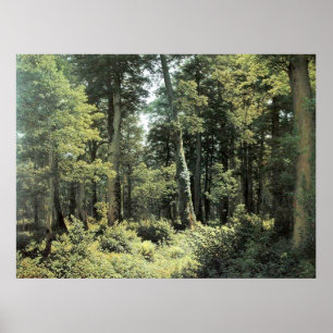 Oak Forest Landscape Oil Painting Poster