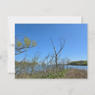 Oak Harbour, Ohio Postcard