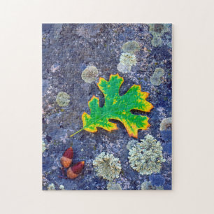 Oak Leaf and Acorns on a Lichen covered rock Jigsaw Puzzle