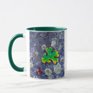 Oak Leaf and Acorns on a Lichen covered rock Mug