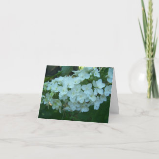 Oak Leaf Hydrangea Bloom Greeting Card