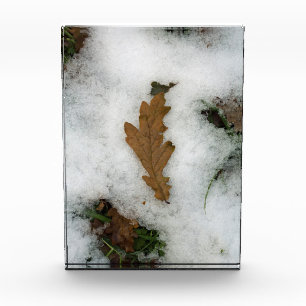 Oak leaf lying in the snow holiday card poster photo block