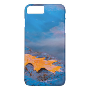 Oak leaf on rock in Rosseau River Case-Mate iPhone Case