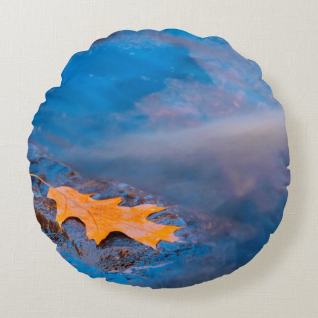 Oak leaf on rock in Rosseau River Round Cushion (Front)