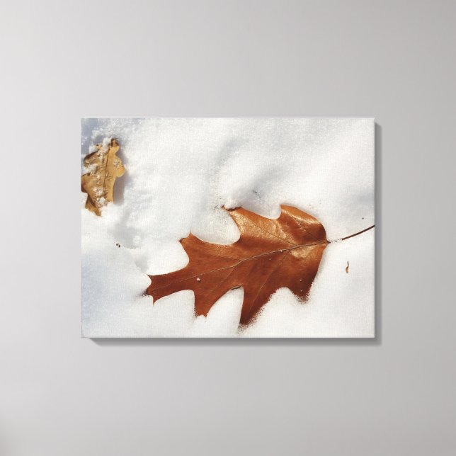 oak leaf on the snow canvas print (Front)