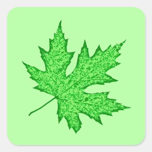 Oak leaf - shades of green square sticker (Front)