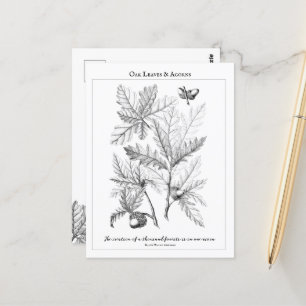 Oak Leaves and Acorns Customisable Quote  Postcard
