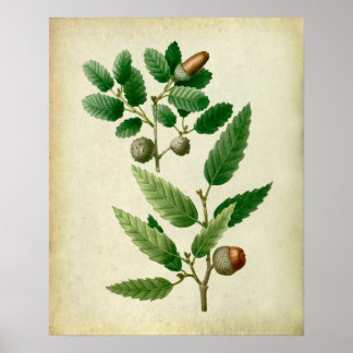 Oak Leaves no.7 Farmhouse Wall Decor