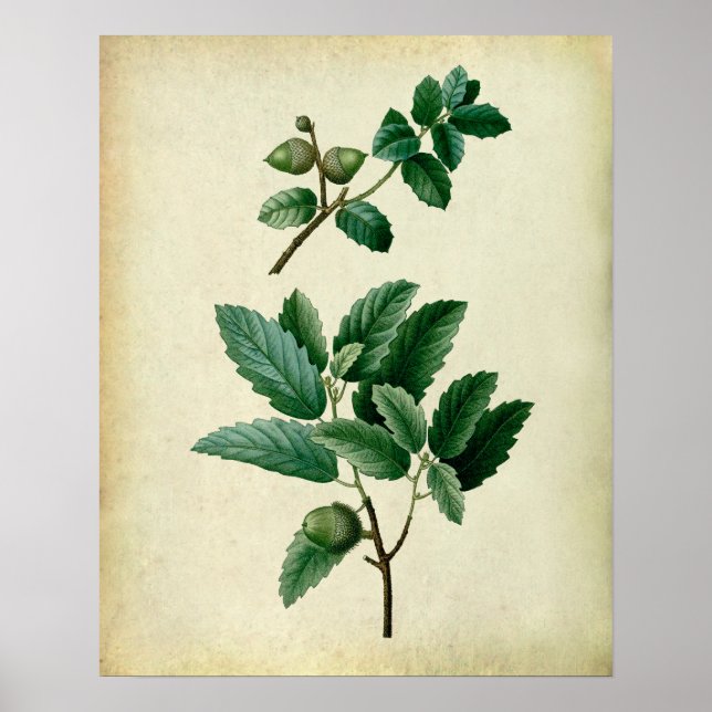 Oak Leaves Wall Art no.1 Farmhouse Wall Decor (Front)