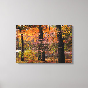 OAK OPENINGS PRESERVE METRO PARK/AUTUMN BEAUTY CANVAS PRINT