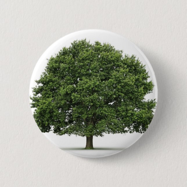 Oak Tree 6 Cm Round Badge (Front)