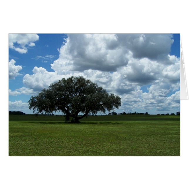 Oak Tree and Clouds (Front Horizontal)