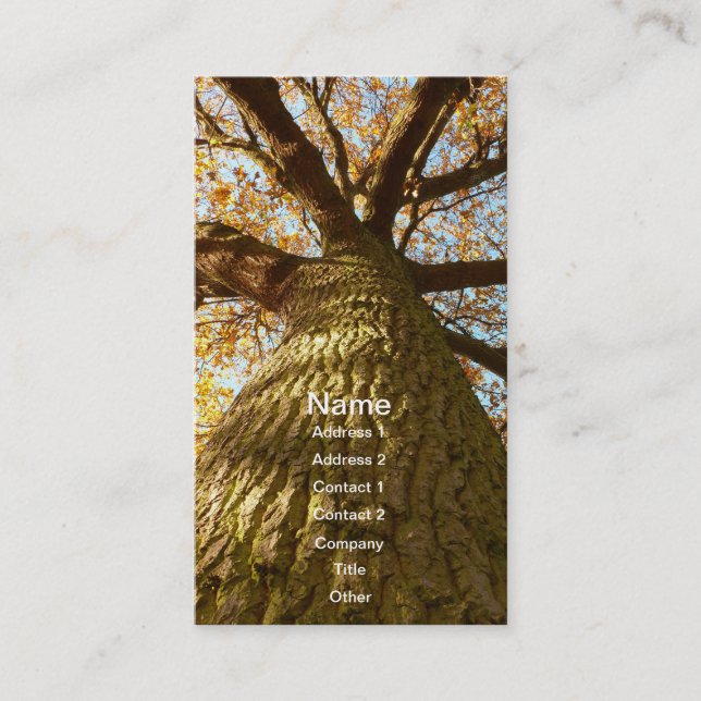 Oak Tree Business Card (Front)