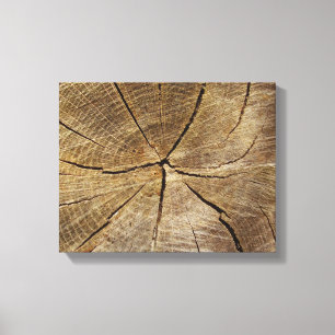 Oak Tree Cross Section Canvas Print