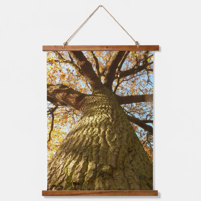 Oak Tree Hanging Tapestry  (Front)