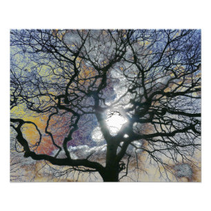 Oak tree in early Spring, coloured sky edit Photo Print