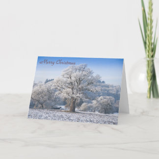 Oak Tree in Frost Christmas Card