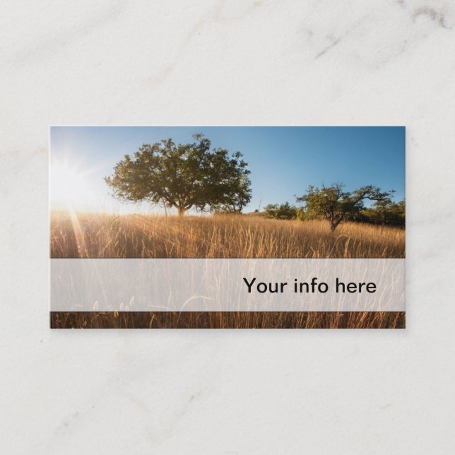 Oak tree in sunny golden meadow business card (Front)