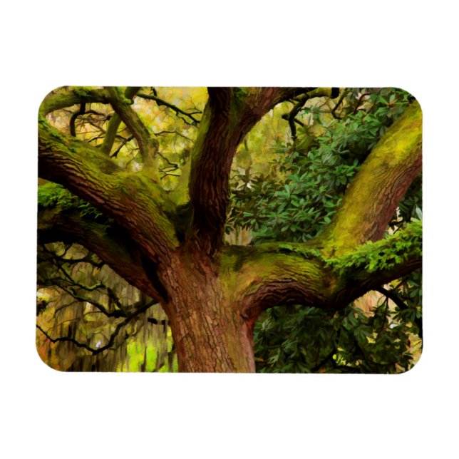 Oak tree magnet (Horizontal)