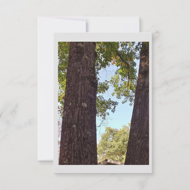 Oak Tree Note Card (Front)