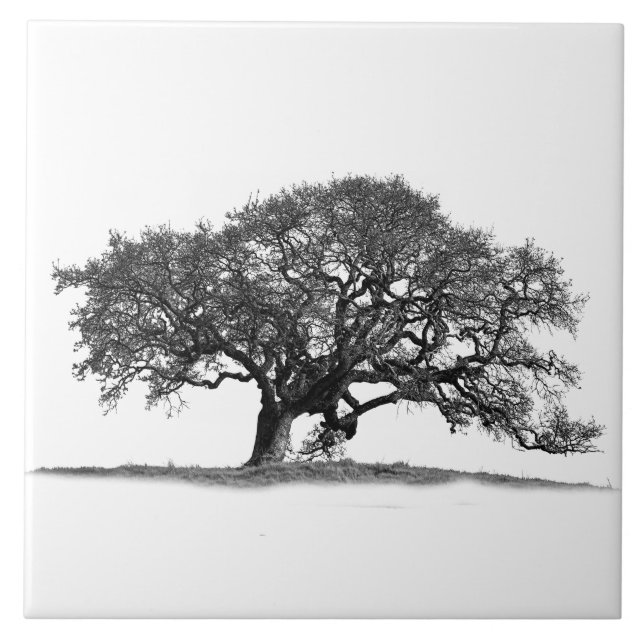 OAK TREE ON WHITE TILE (Front)