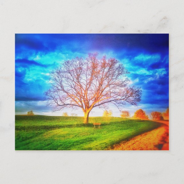 Oak Tree Postcard (Front)