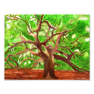 Oak Tree print
