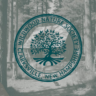 Oak Tree Rustic Border Address Nature and Business Rubber Stamp