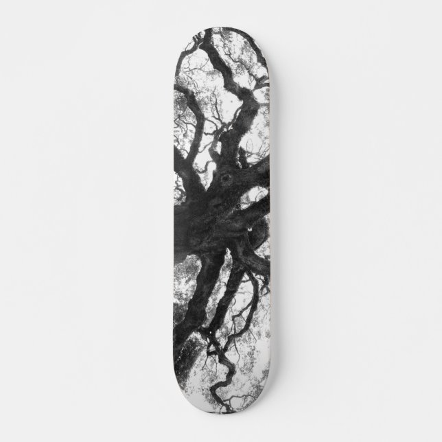 Oak Tree Skateboard (Front)