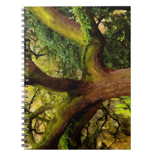 Oak tree spiral notebook