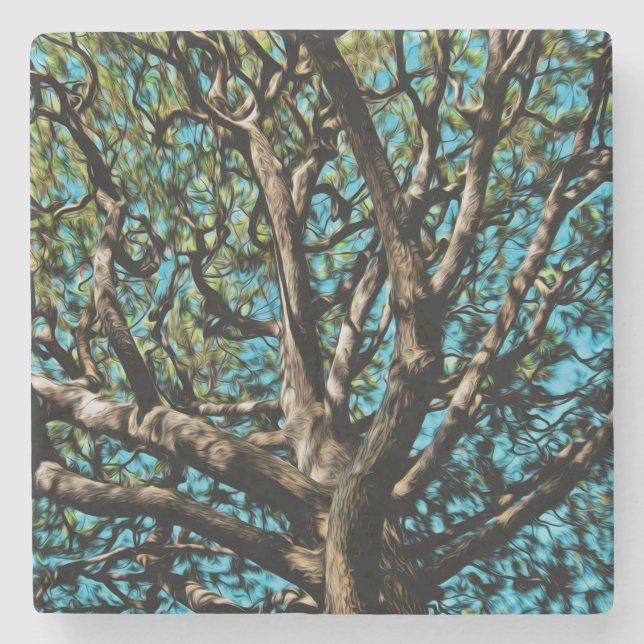 Oak Tree Stone Coaster (Front)