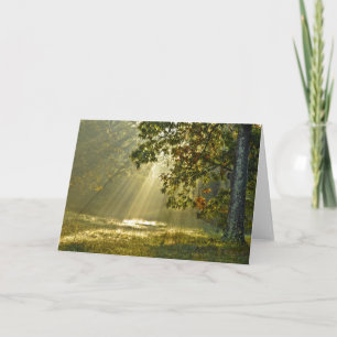 Oak Tree with Morning Sunbeams Nature Photography Card
