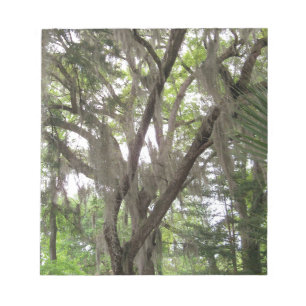 oak tree with Spanish moss waving in the branches Notepad