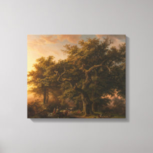 Oak Trees in a Forest Landscape (Woodland Scene) Canvas Print
