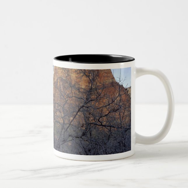 Oak trees in winter, Court of the Patriarchs Two-Tone Coffee Mug (Right)