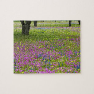 Oak Trees with field of Phlox, Blue Bonnets Jigsaw Puzzle