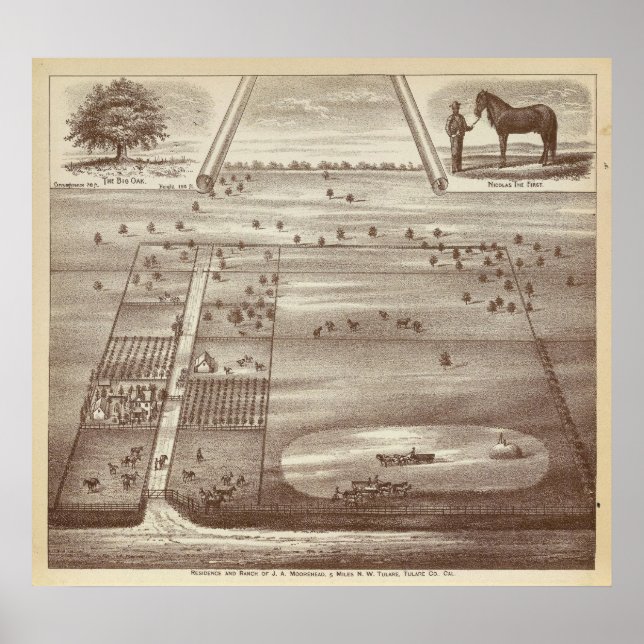 Oakdale Ranch Poster (Front)