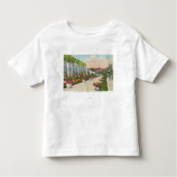 Oakes Garden Theatre Lower Terrace