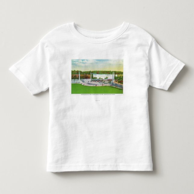 Oakes Garden Theatre View of American Falls Toddler T-Shirt (Front)