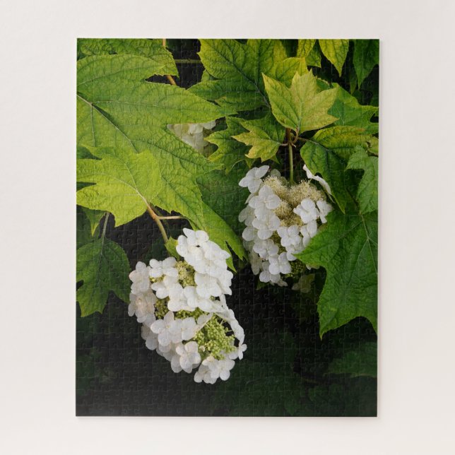 Oakleaf Hydrangea Jigsaw Puzzle (Vertical)