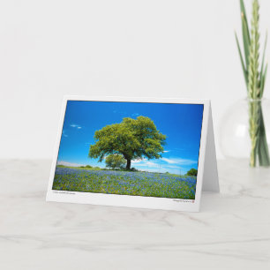 Oaks and Bluebonnets - Texas Card