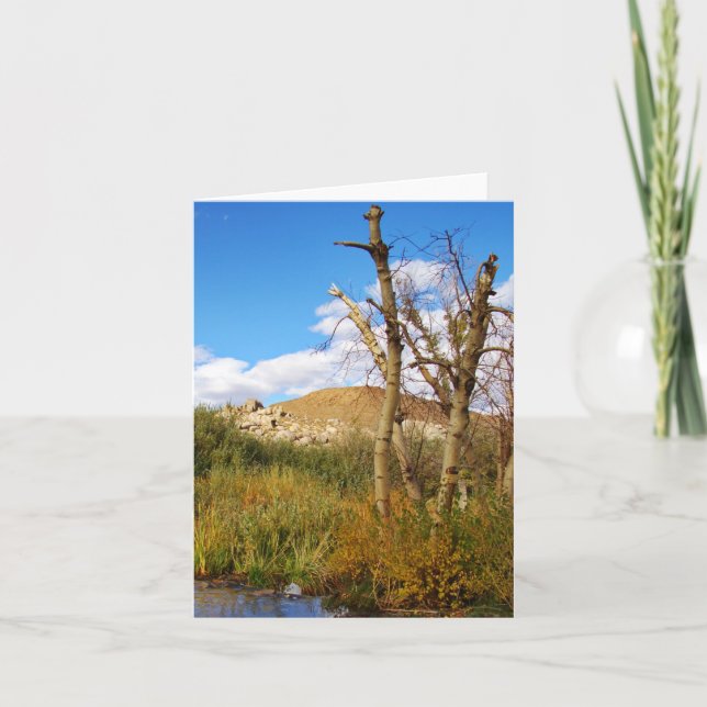 Oasis Card (Front)