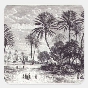 Oasis of Gafsa: Tunis Square Sticker