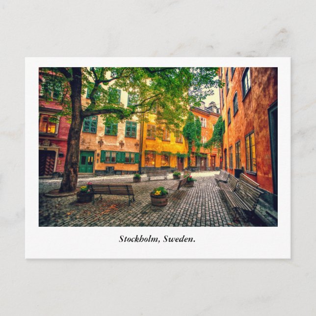 Oasis Postcard (Front)