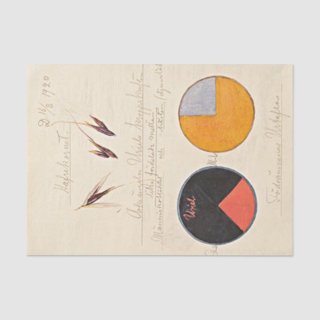 Oats, 1920 by Hilma af Klint  Tissue Paper (Front)